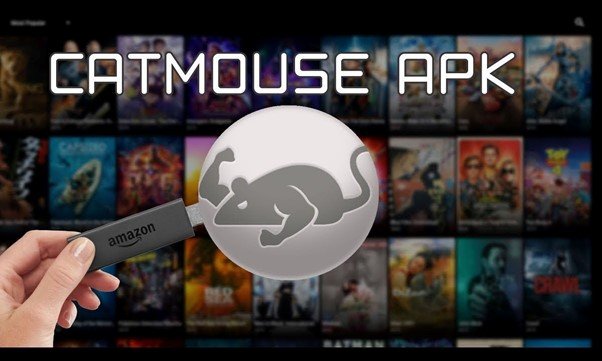 CatMouse